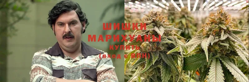 Канабис OG Kush  дарнет шоп  Волгодонск 